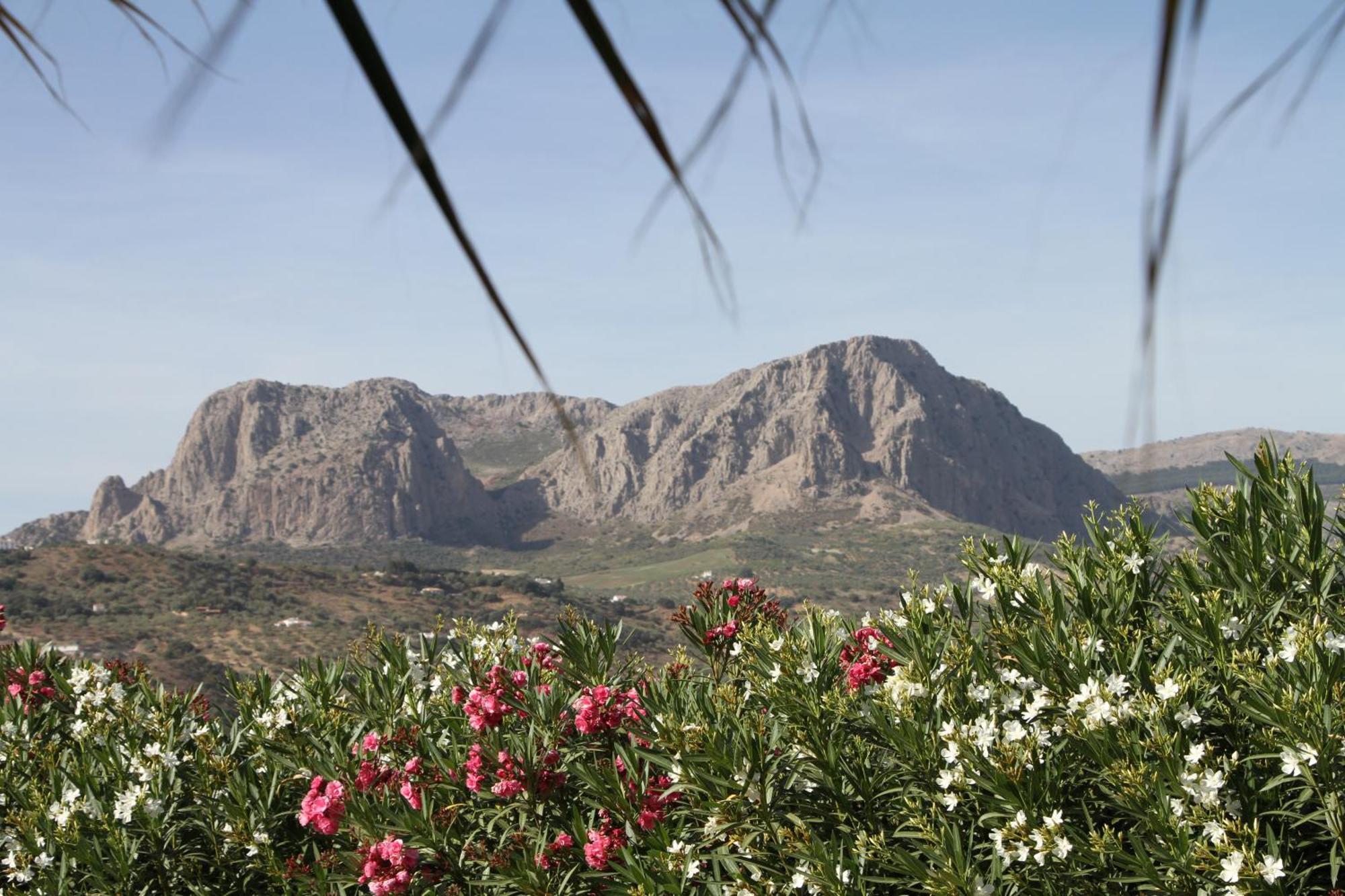 Hacienda Riogordo Bed and Breakfast Εξωτερικό φωτογραφία