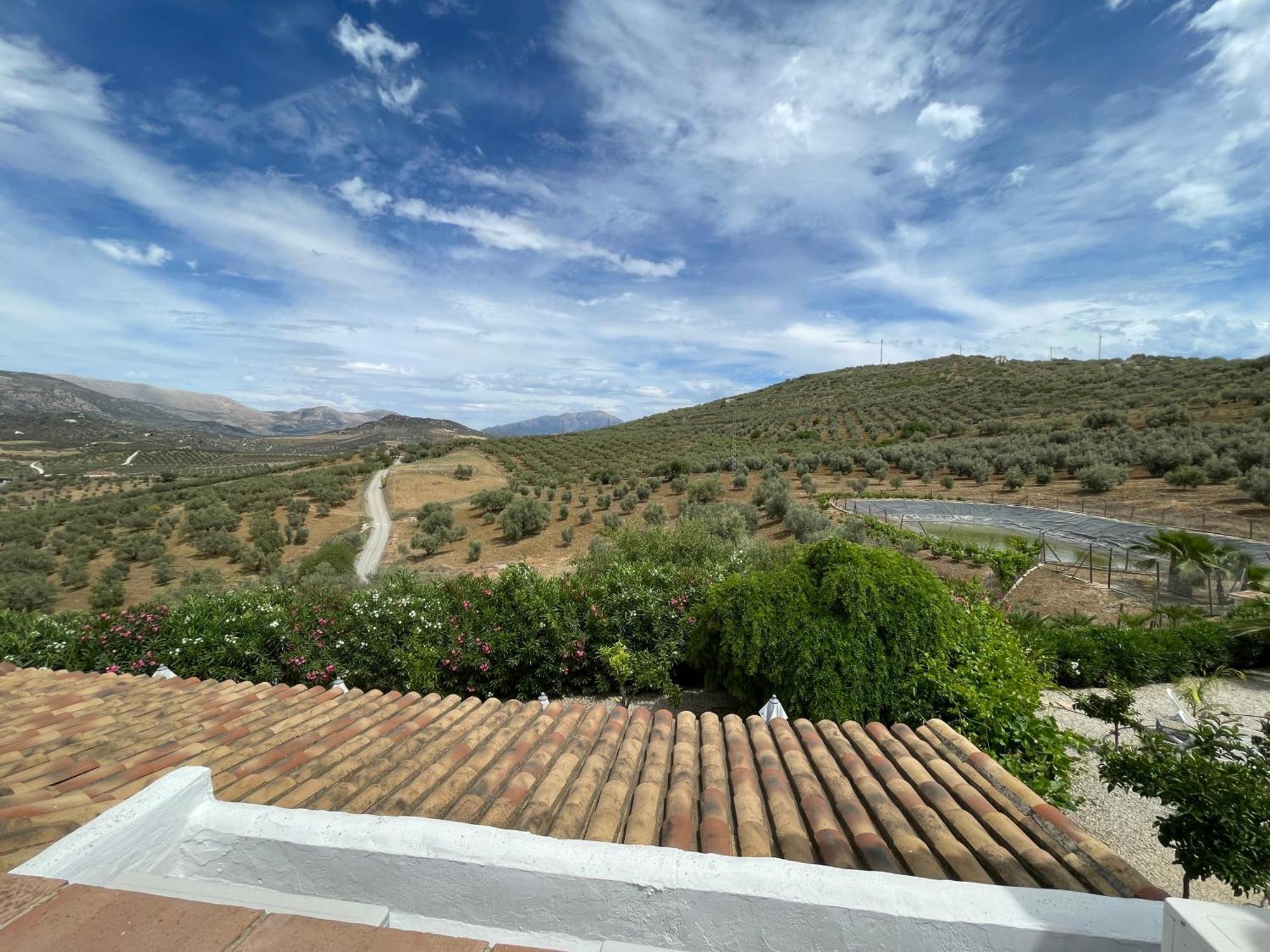 Hacienda Riogordo Bed and Breakfast Εξωτερικό φωτογραφία