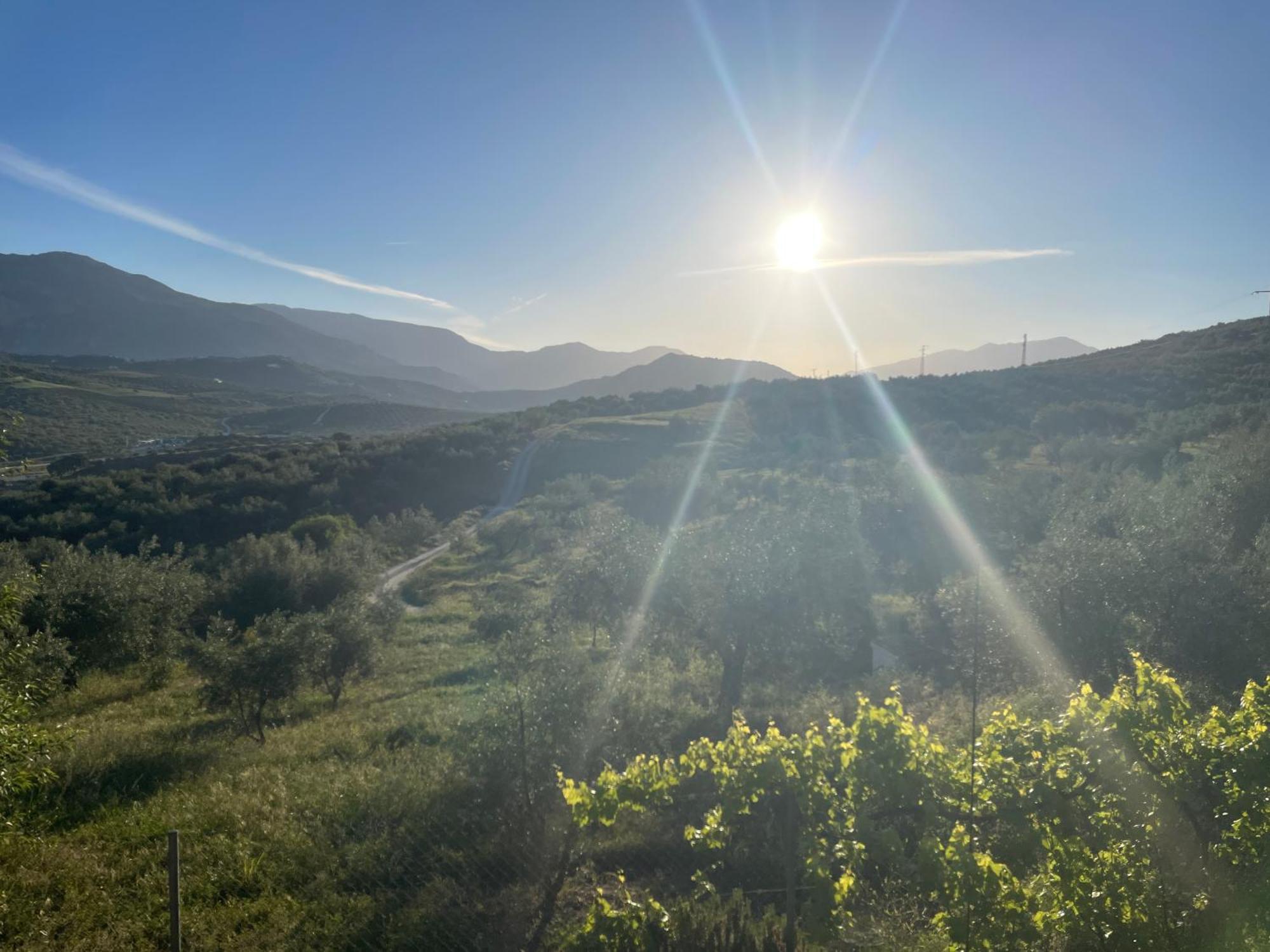 Hacienda Riogordo Bed and Breakfast Εξωτερικό φωτογραφία